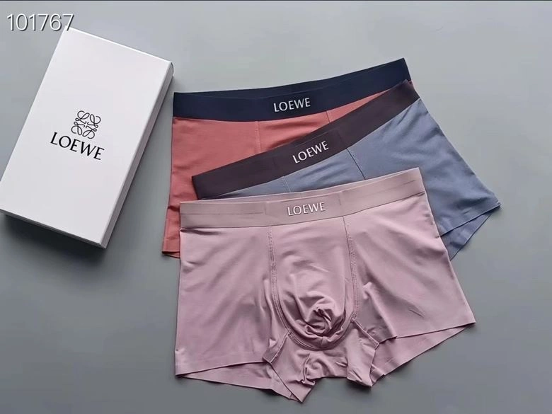 Supportive Loewe Underwear 276765