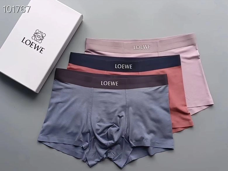 Supportive Loewe Underwear 276765