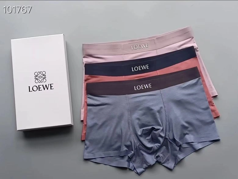 Supportive Loewe Underwear 276765