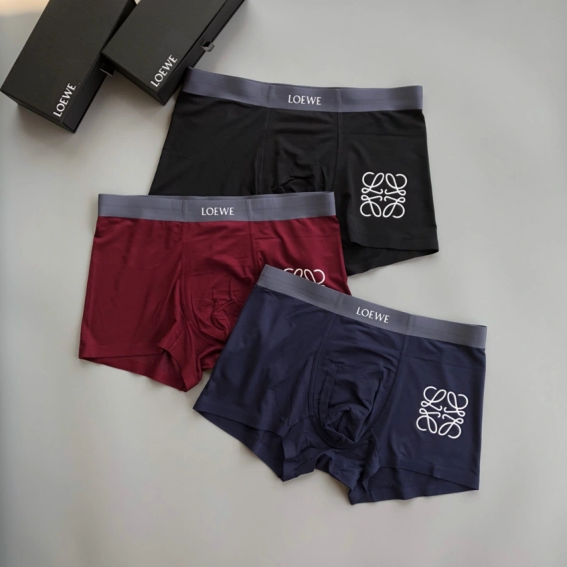Loewe Underwear Stylish 276319