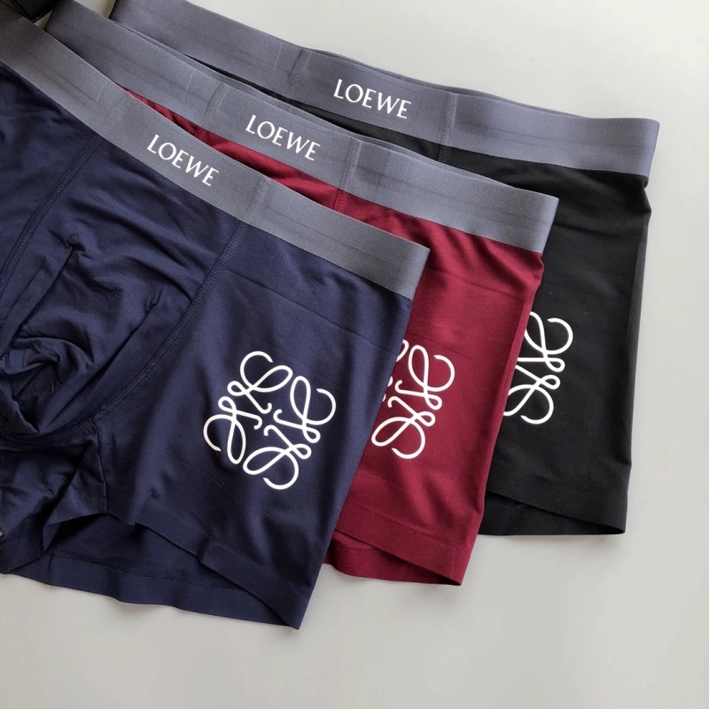 Loewe Underwear Stylish 276319
