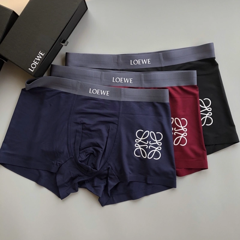 Loewe Underwear Stylish 276319