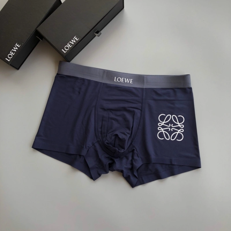 Loewe Underwear Stylish 276319