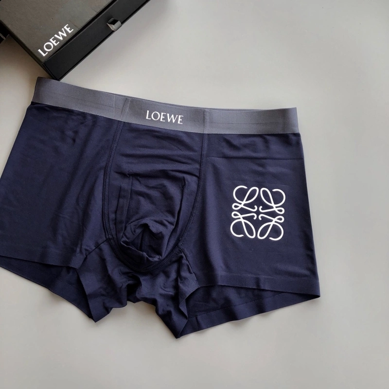 Loewe Underwear Stylish 276319