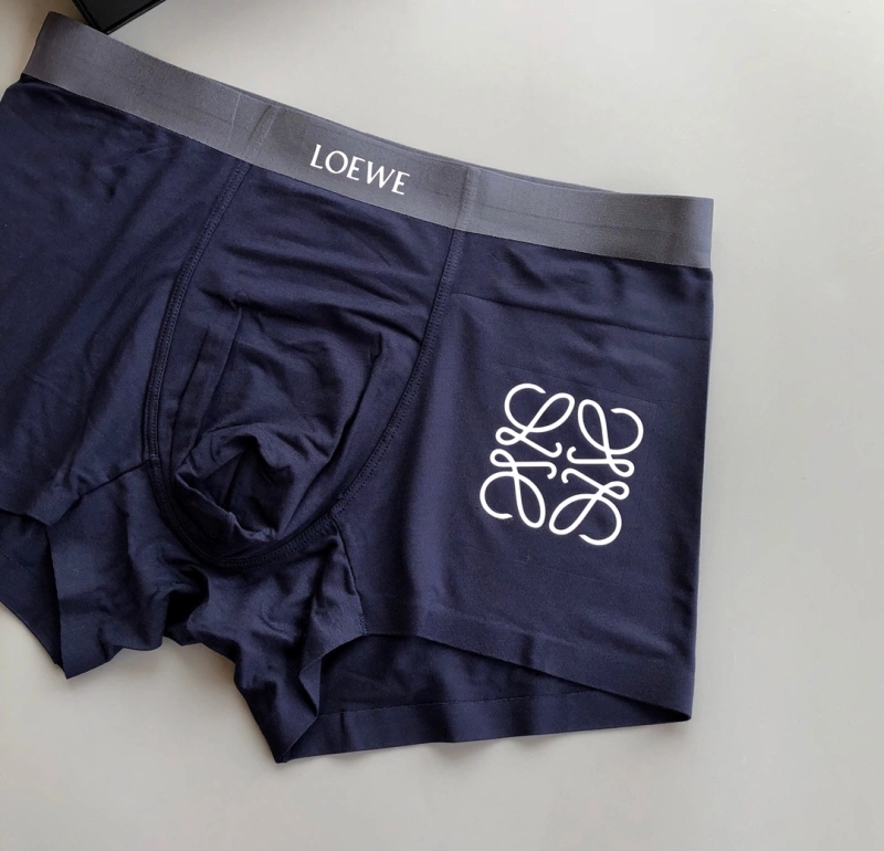 Loewe Underwear Stylish 276319