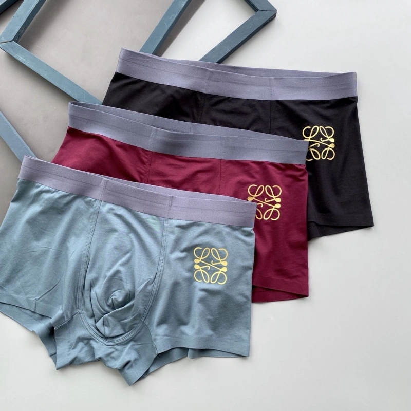Loewe Underwear Durable 276320