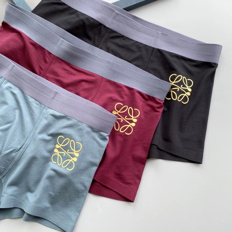 Loewe Underwear Durable 276320