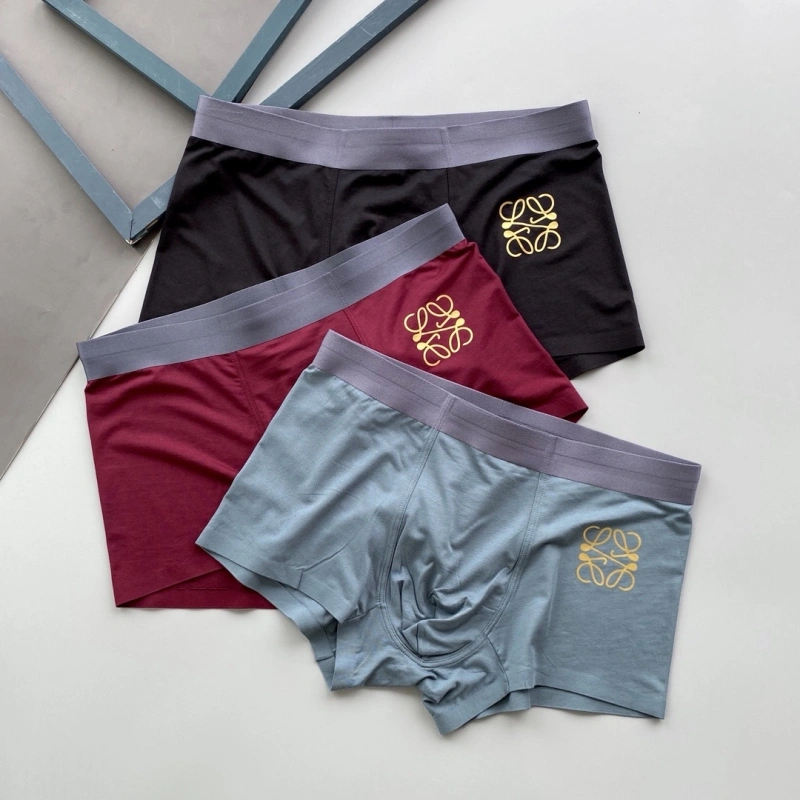 Loewe Underwear Durable 276320