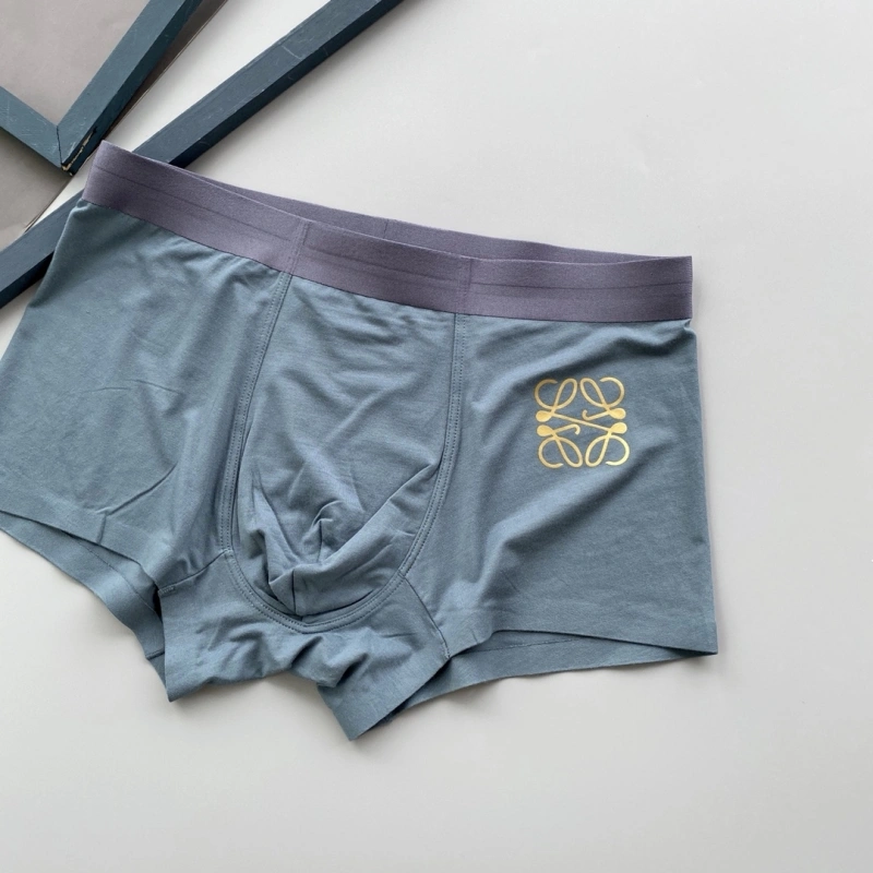 Loewe Underwear Durable 276320