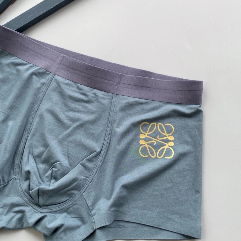 Loewe Underwear Durable 276320