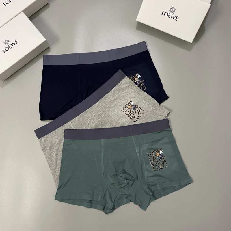 Unique Loewe Underwear 276308