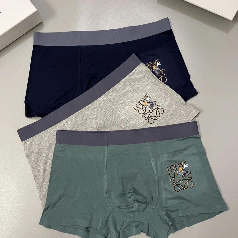 Unique Loewe Underwear 276308