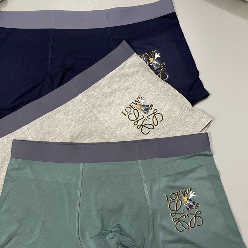 Unique Loewe Underwear 276308