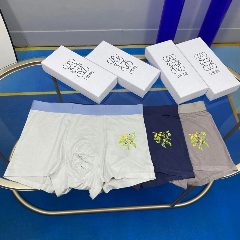 UrbanStyle Loewe Underwear 276303