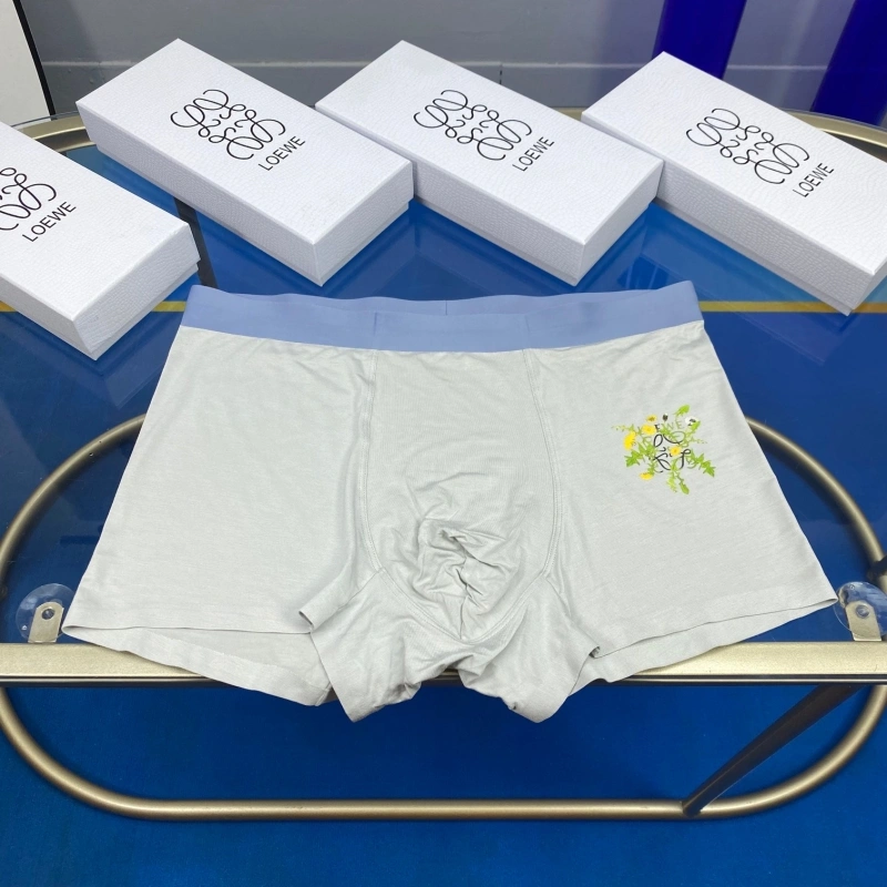 UrbanStyle Loewe Underwear 276303