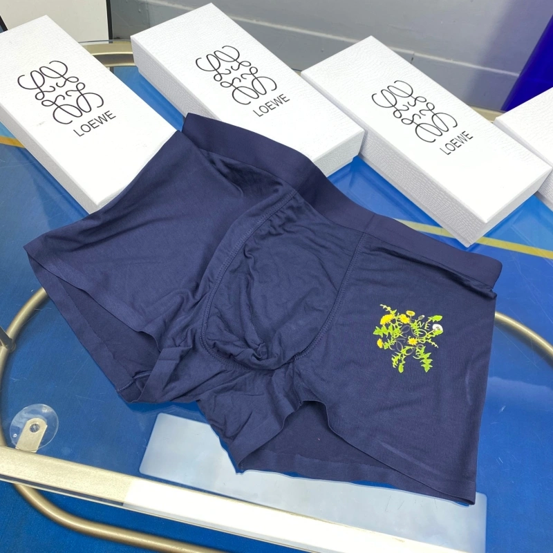 UrbanStyle Loewe Underwear 276303