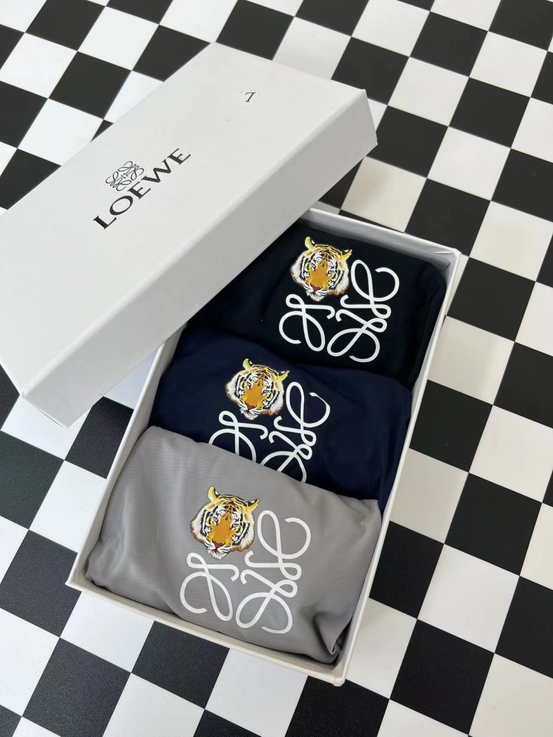Loewe Underwear Bold 276296