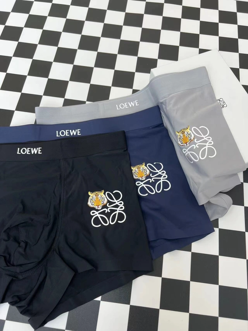 Loewe Underwear Bold 276296