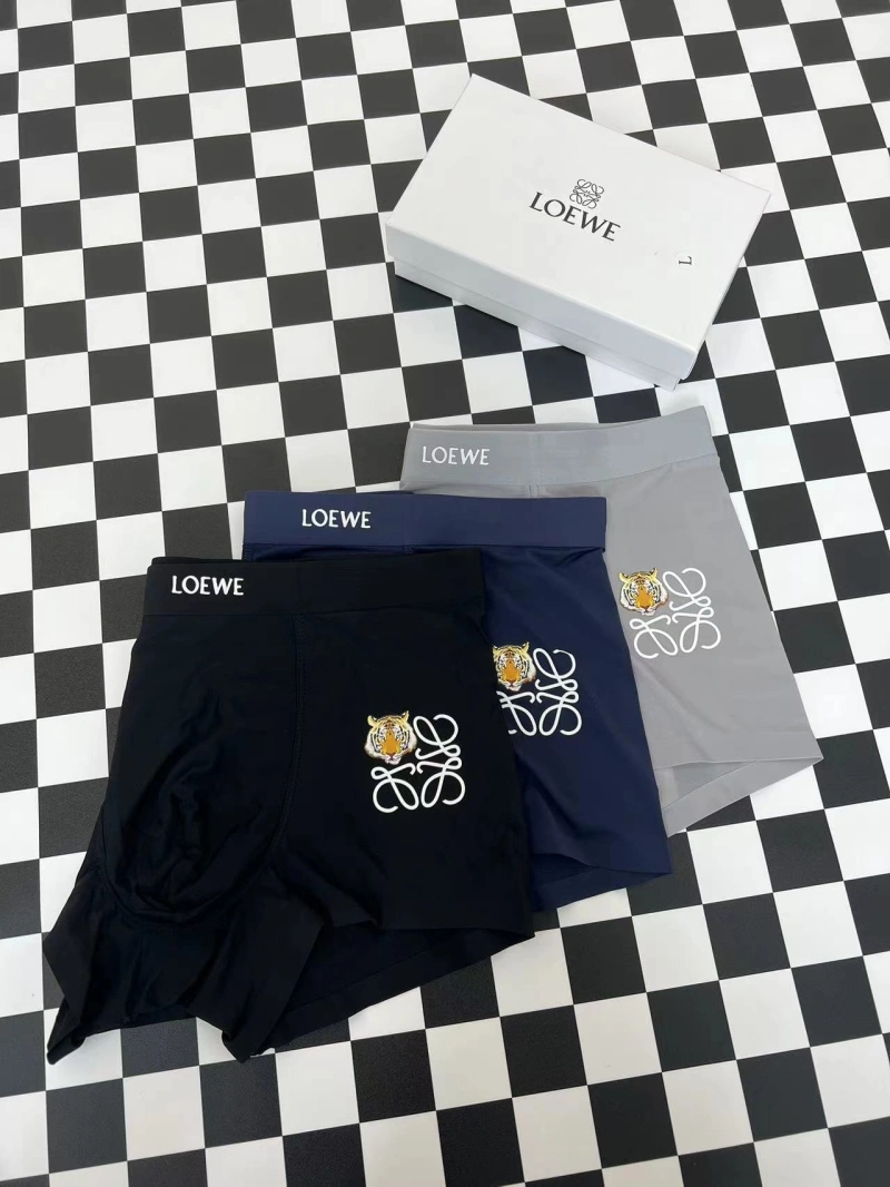 Loewe Underwear Bold 276296