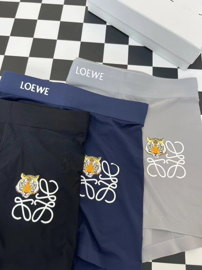 Loewe Underwear Bold 276296