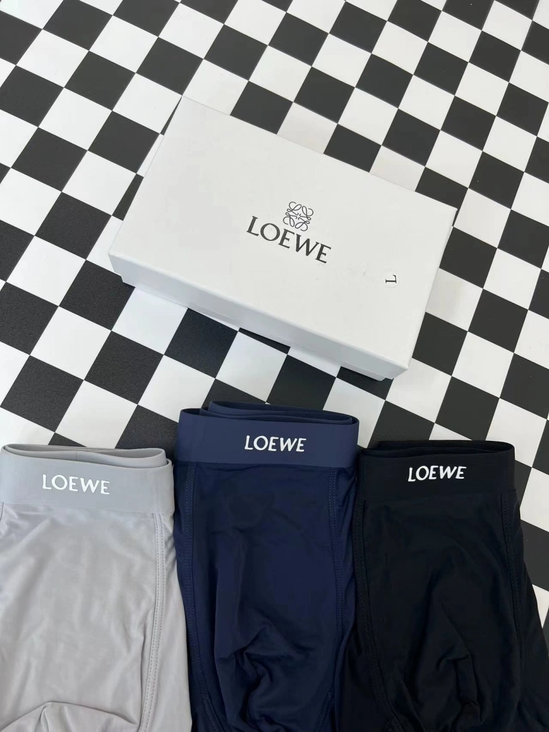 Loewe Underwear Bold 276296