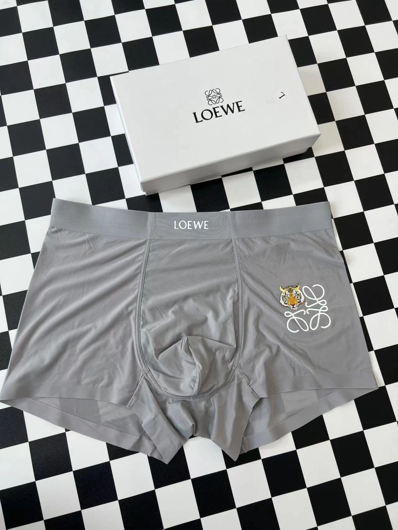Loewe Underwear Bold 276296