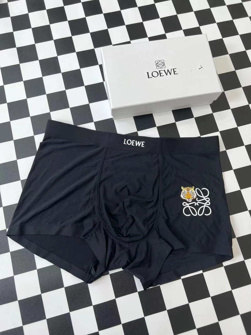 Loewe Underwear Bold 276296
