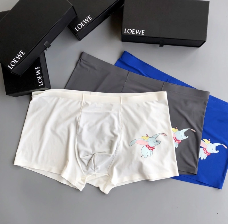 ModernLook Loewe Underwear 276292