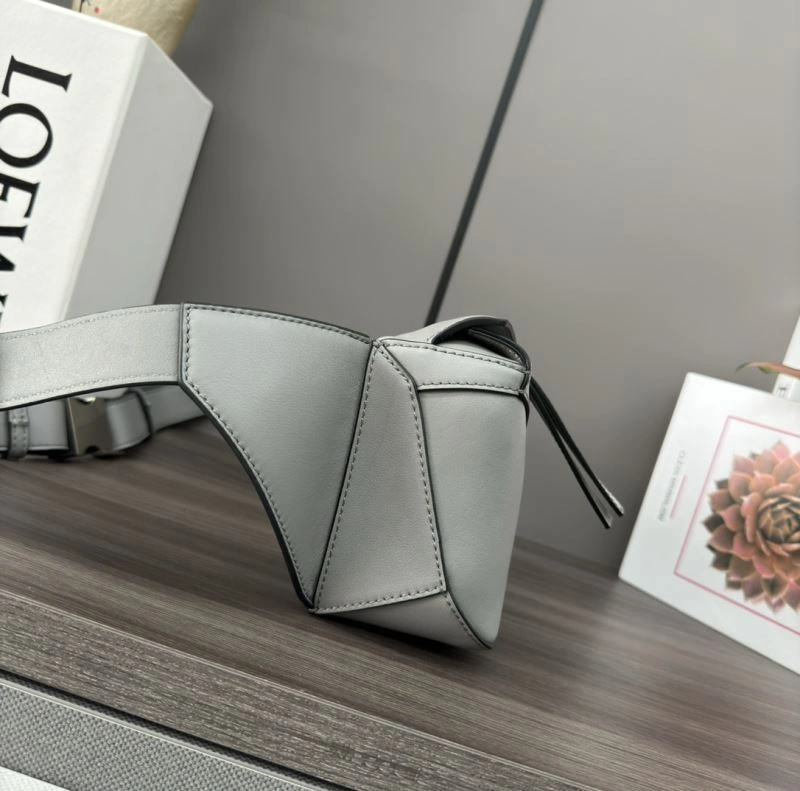 Minimalist Loewe Waist Chest Packs 73281