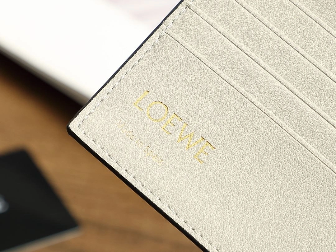 Loewe Wallets Purse Fashionable 92846