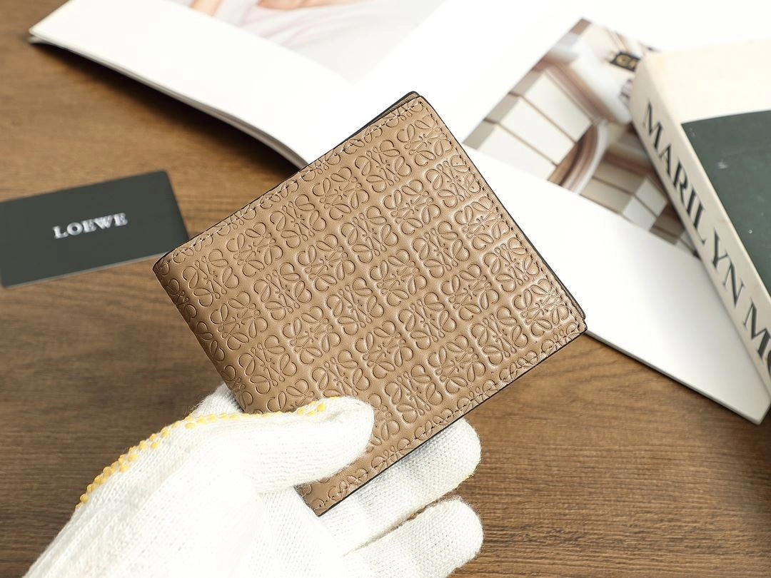 Loewe Wallets Purse Trendy 92902