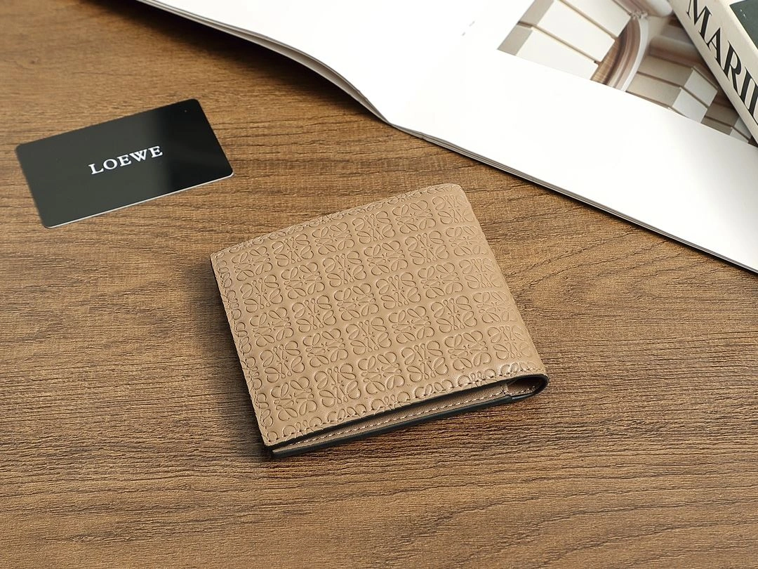 Loewe Wallets Purse Trendy 92902