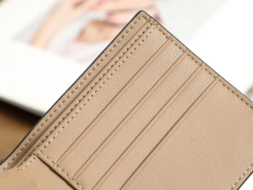 Loewe Wallets Purse Trendy 92902