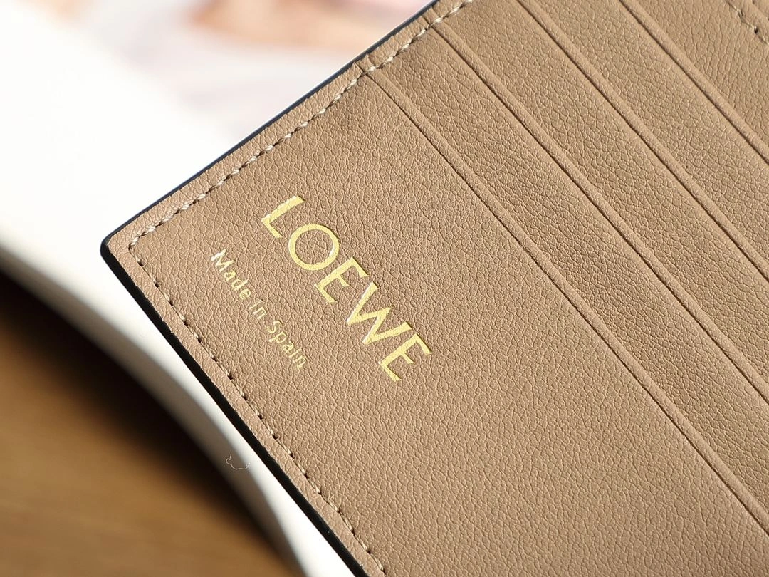 Loewe Wallets Purse Trendy 92902