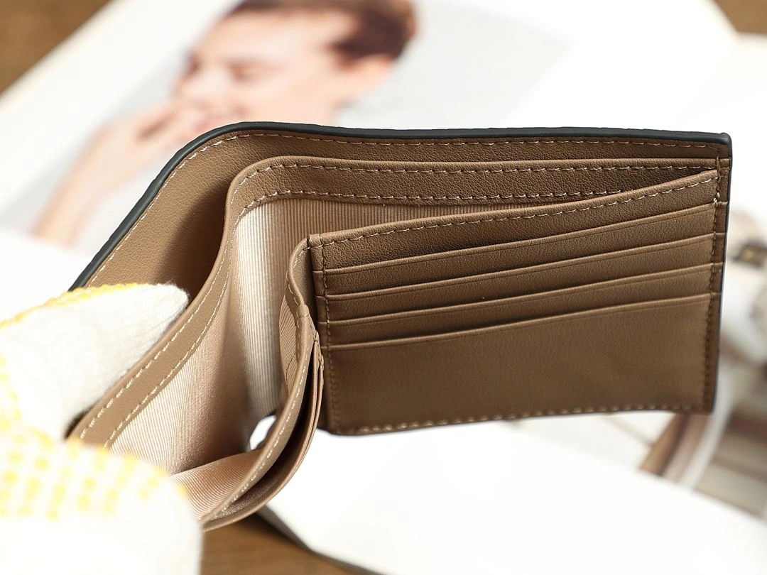 Loewe Wallets Purse Trendy 92902