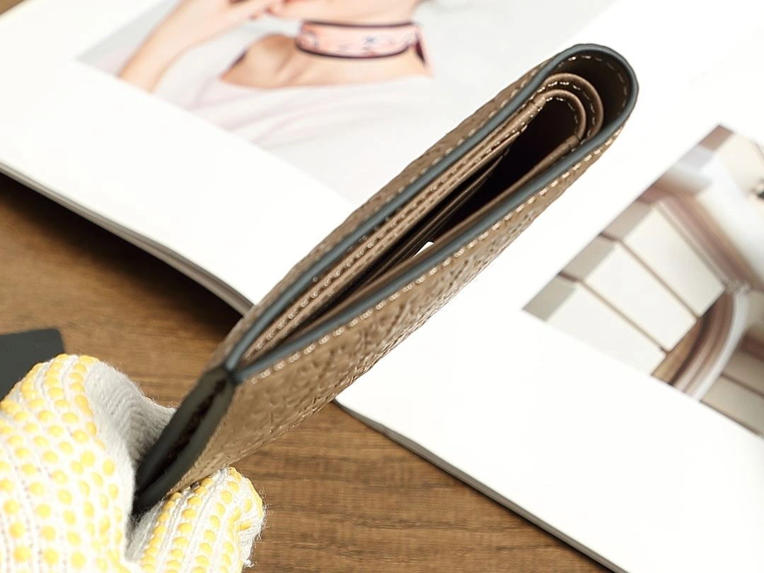 Loewe Wallets Purse Trendy 92902