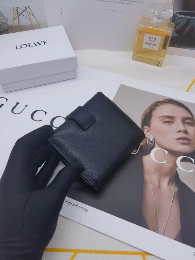 Chic Loewe Wallets Purse 85965