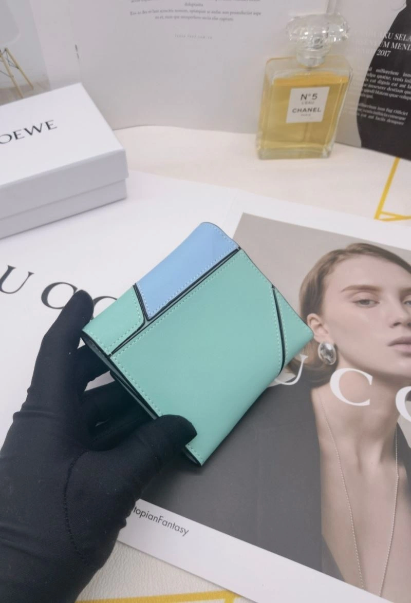 Trendsetting Loewe Wallets Purse 85941