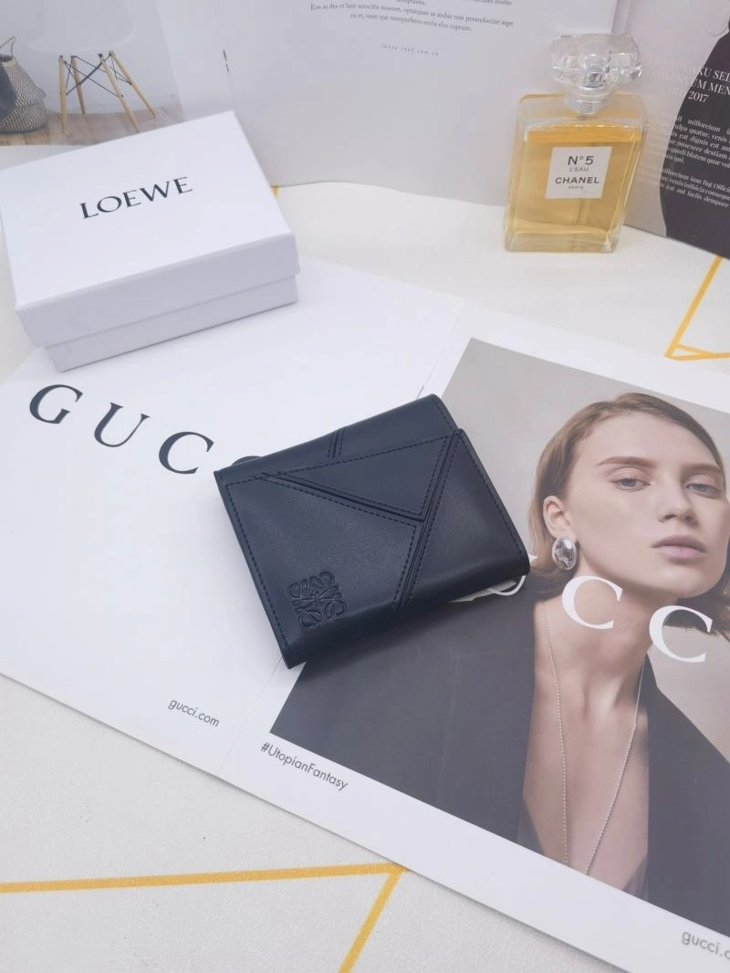 Packable Loewe Wallets Purse 85898