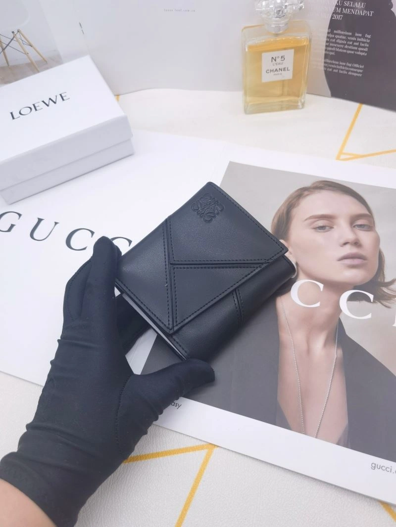 Packable Loewe Wallets Purse 85898