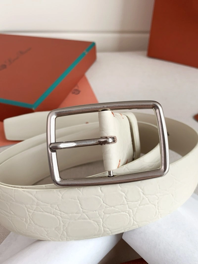 Loro Piana Belts Casual 297052