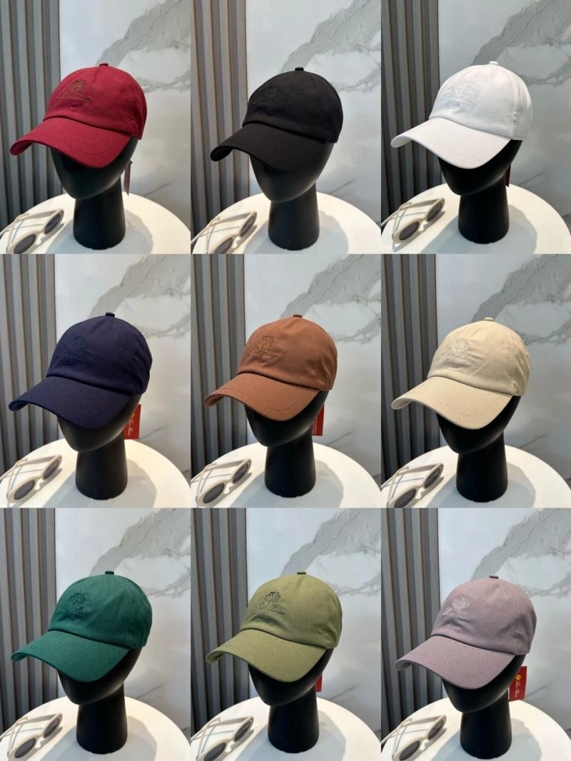 WellDesigned Loro Piana Caps 258238