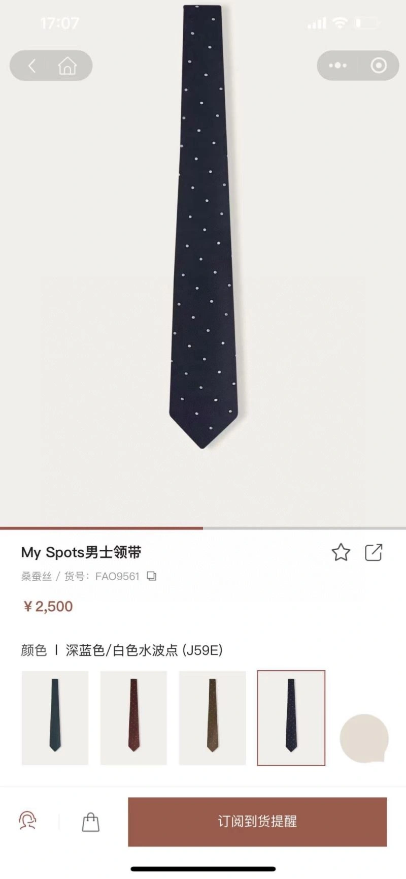 Loro Piana Neckties RelaxedFit 268559