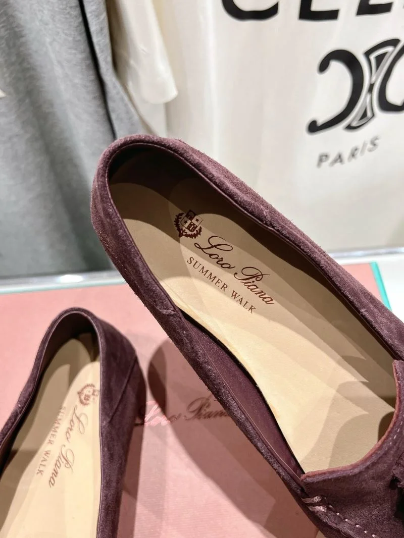 MultiPurpose Loro Piana Shoes 11874