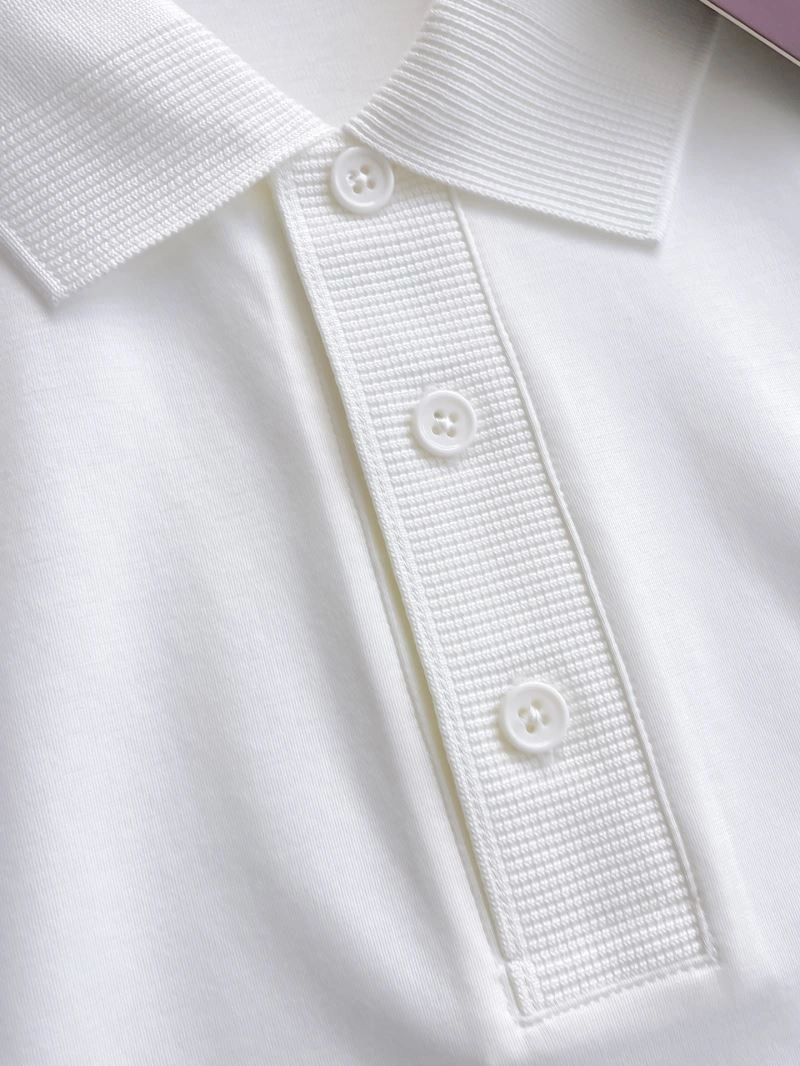 DailyWear Loro Piana T-Shirts 161515