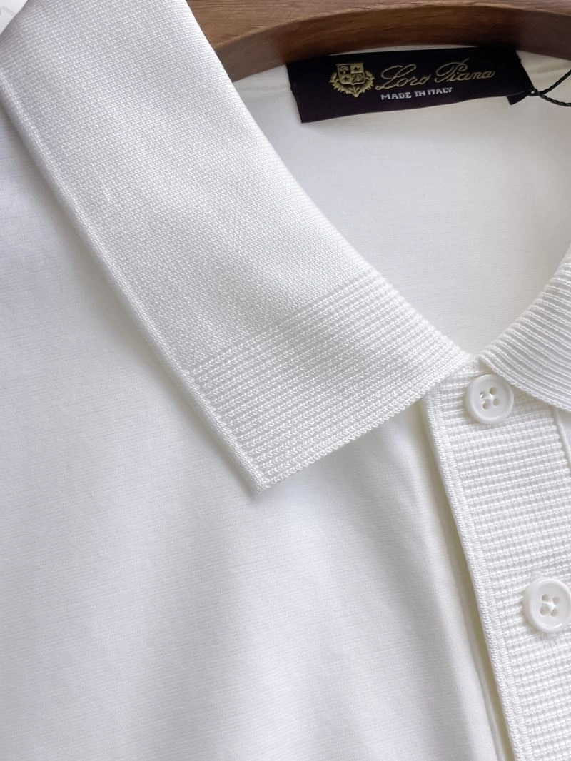 DailyWear Loro Piana T-Shirts 161515