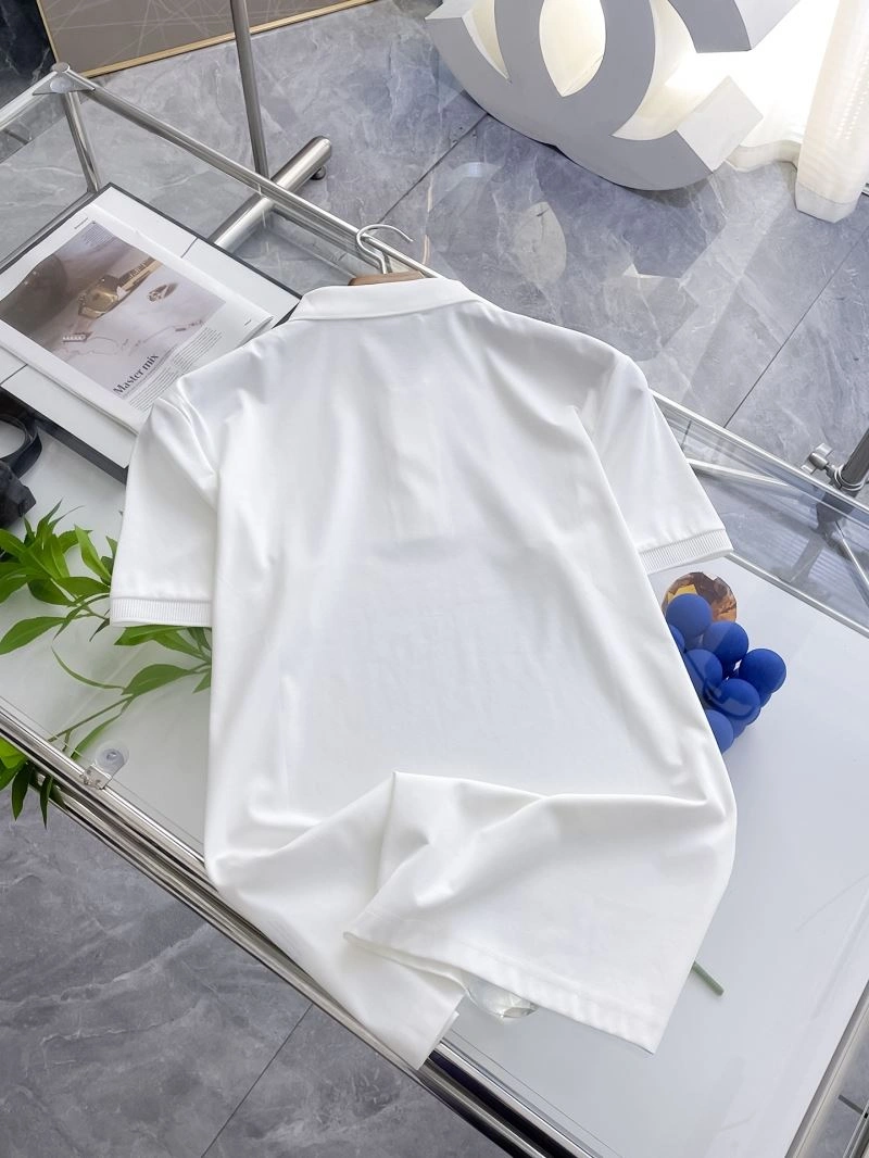DailyWear Loro Piana T-Shirts 161515