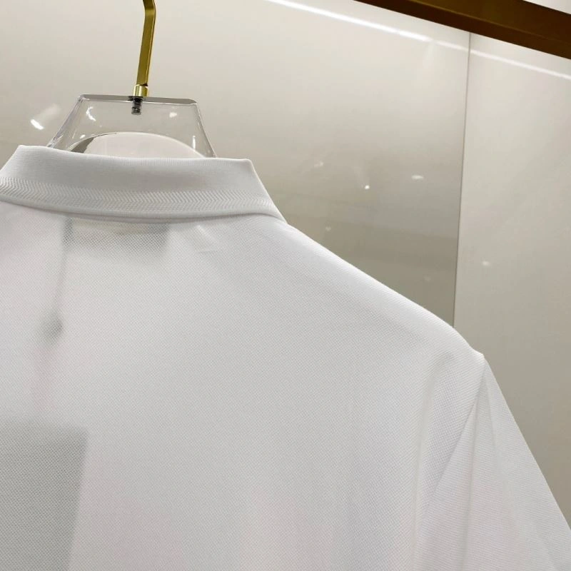 Loro Piana T-Shirts Attractive 160297