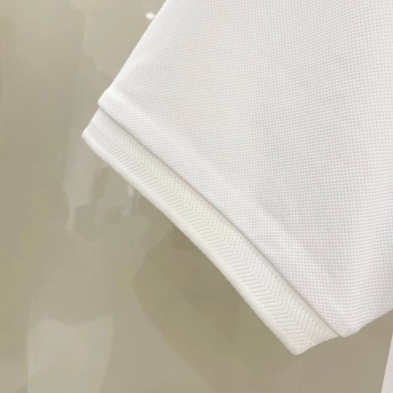 Loro Piana T-Shirts Attractive 160297