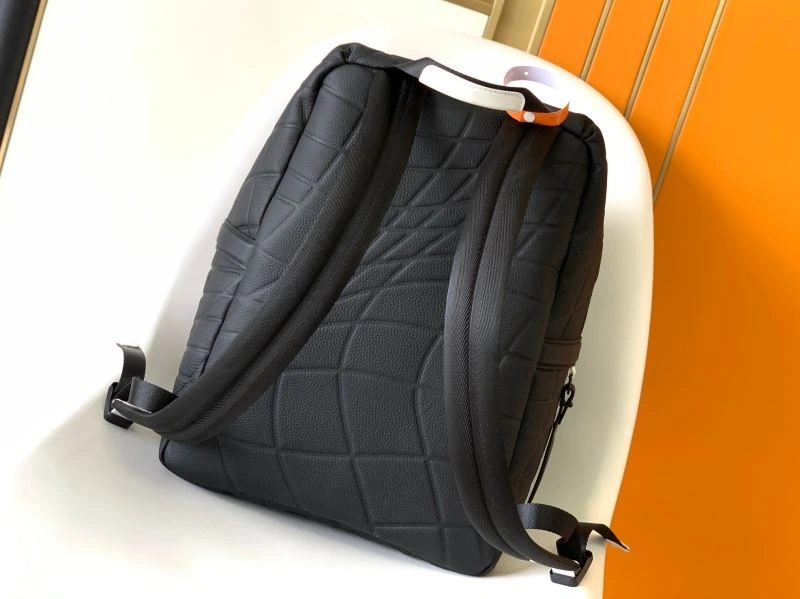 Louis Vuitton Backpacks Vibrant 94445
